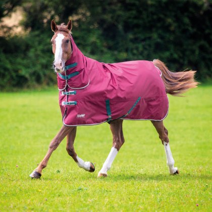 Tempest Original 200 Combo Turnout Rug Maroon