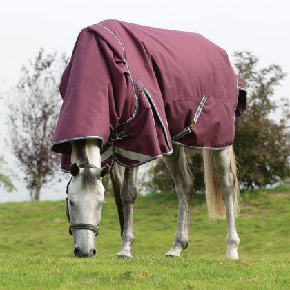 WeatherBeeta ComFiTec Plus Dynamic II Detach a Neck Heavy Turnout Rug