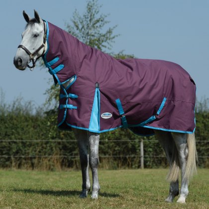WeatherBeeta ComFiTec Essential Combo Neck Heavy Grape Turnout Rug