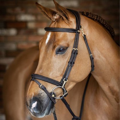 LeMieux Kudos Work Bridle 