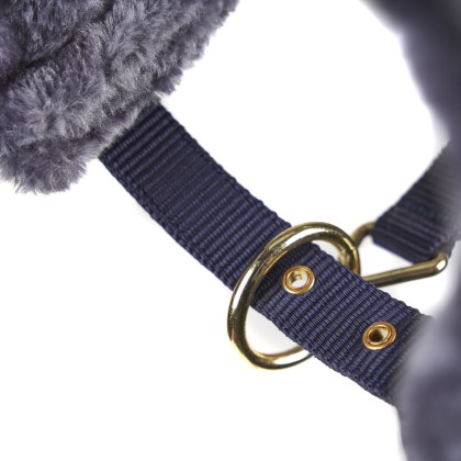 Arma Fleece Lined Lunge Cavesson