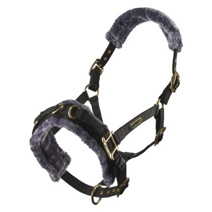 Arma Fleece Lined Lunge Cavesson