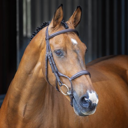 Velociti Lusso Rolled Padded Cavesson Bridle 