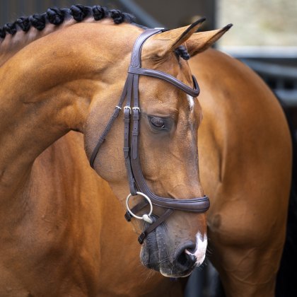 Velociti Lusso Ergonomic Curved Flash Bridle 