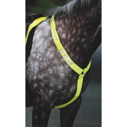 Shires EQUI-FLECTOR Breastplate