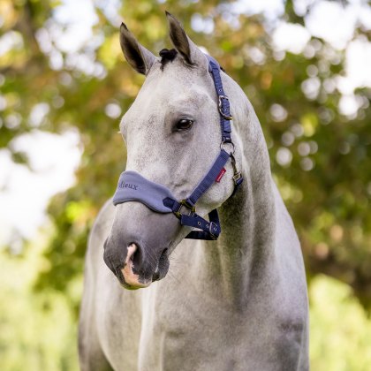 LeMieux Vogue Headcollar Indigo