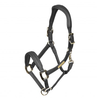 Velociti Rapida Comfort Leather Headcollar