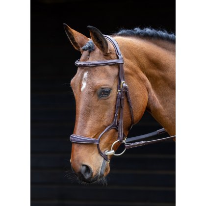 Salisbury Brampton Bridle