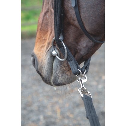 Shires Lunging Adapter