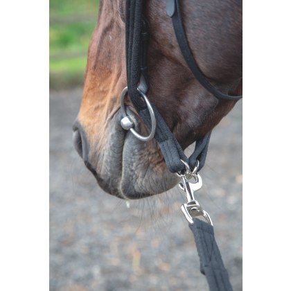 Shires Lunging Adapter