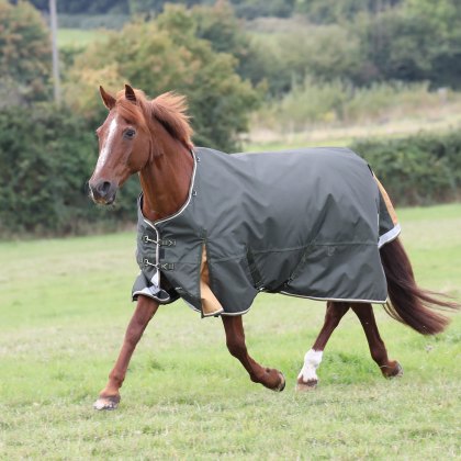 Shires Highlander Plus 50 Turnout Rug Green