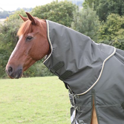 Shires Highlander Plus 50 Turnout Rug Neck Cover Green