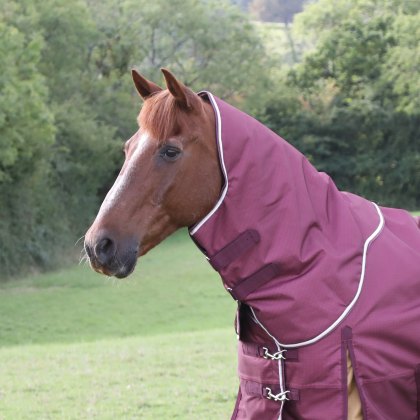 Shires Highlander Plus 100 Turnout Rug Neck Cover Maroon