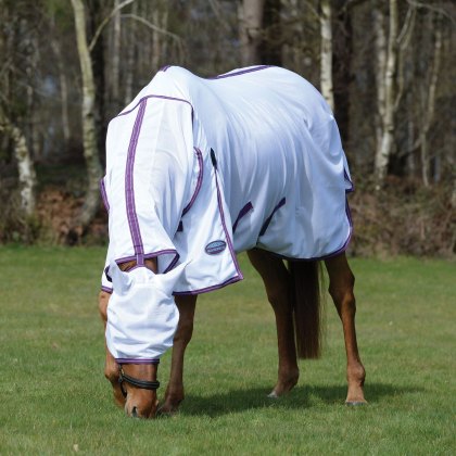 Weatherbeeta ComFitec Airflow II Combo Neck White/Violet Fly Rug
