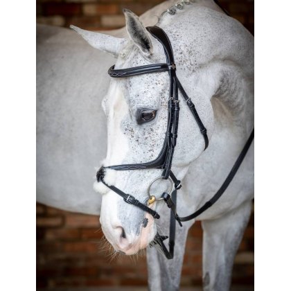 LeMieux Kudos Grackle Bridle