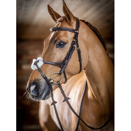 LeMieux Kudos Grackle Bridle