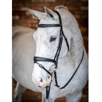 LeMieux Kudos Competition Flash Bridle