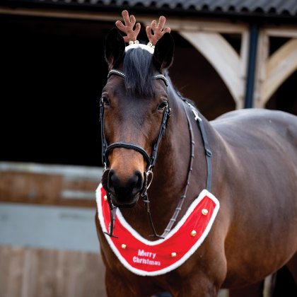 Equetech Reindeer Bridle Accessory