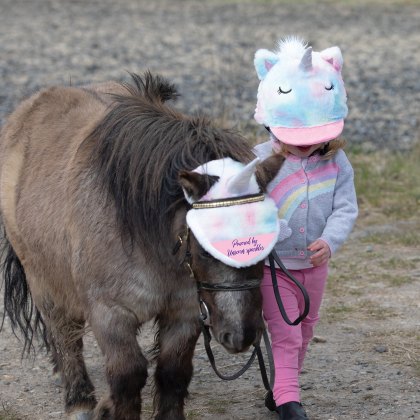 Equetech Starlight Unicorn Horse Ear Bonnet