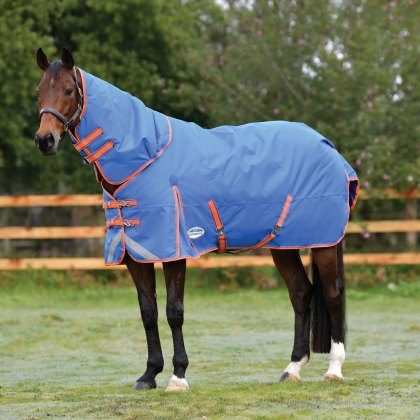 WeatherBeeta ComFiTec Plus Dynamic Detach a Neck Medium Rug Royal Blue