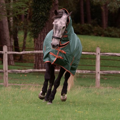 WeatherBeeta ComFiTec Tyro Combo Lite Plus Green Turnout Rug