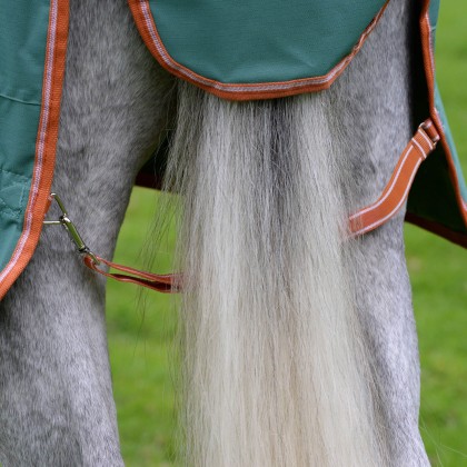WeatherBeeta ComFiTec Tyro Combo Lite Plus Green Turnout Rug