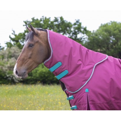 Shires Highlander Original 300 Turnout Rug & Neck Set