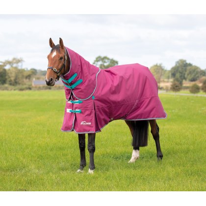 Shires Highlander Original 300 Turnout Rug & Neck Set