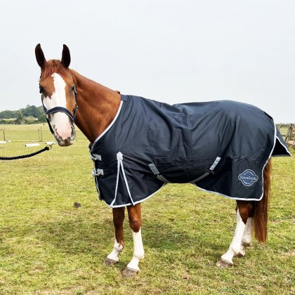 Townfields 50g Lite Standard Neck Turnout Rug 