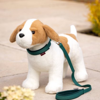 LeMieux Toy Puppy Collar & Lead Evergreen