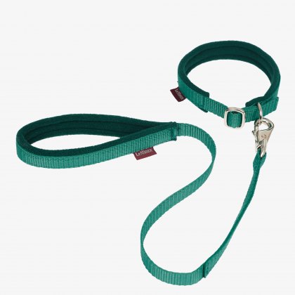 LeMieux Toy Puppy Collar & Lead Evergreen