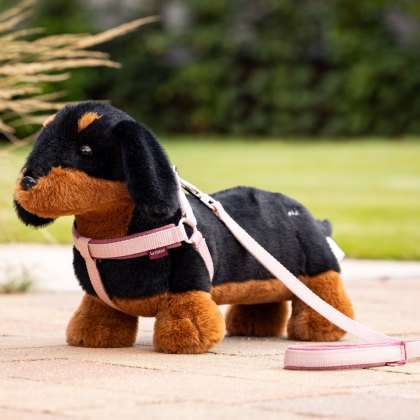 LeMieux Toy Puppy Collar & Lead Pink Quartz 
