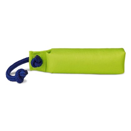 Coachi Training Dummy