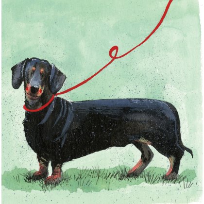 Alex Clark Dachsund Dog Blank Card