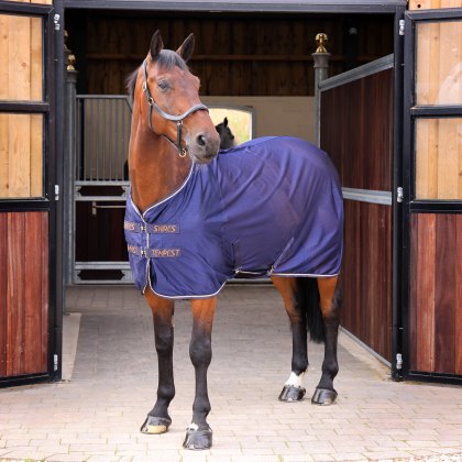 Shires Tempest Original Mesh Cooler Rug Ink