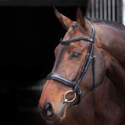 Velociti Lusso Elite Padded Cavesson Bridle 