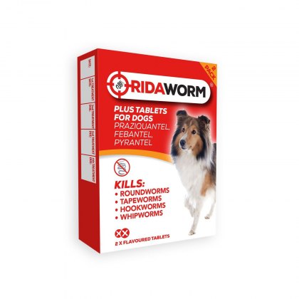 Chanelle Ridaworm Dog Tablets - 2 Tablets