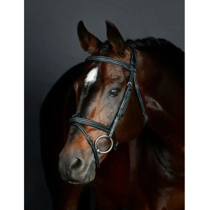 Collegiate Comfitec Vogue Leather Horse Bridle - Black - Cob