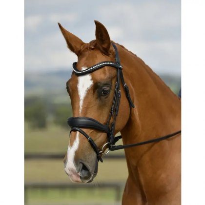 Collegiate Comfitec Opulux Padded Dressage Bridle Black
