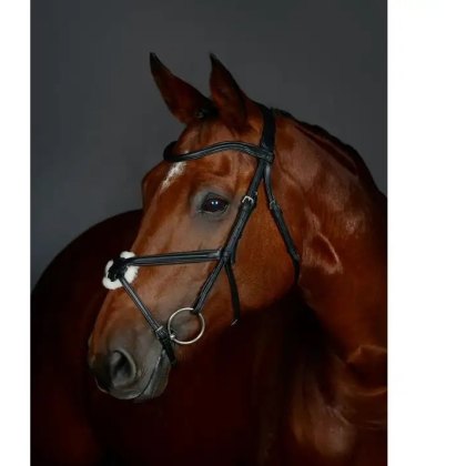 Collegiate Comfitec Patent Bridle | TheBarnShop.co.uk