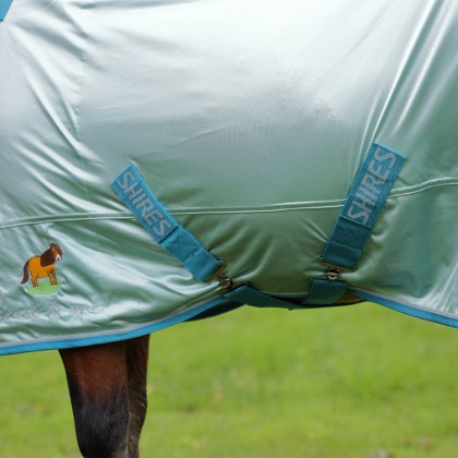 Winnie & Me Fly Combo Rug