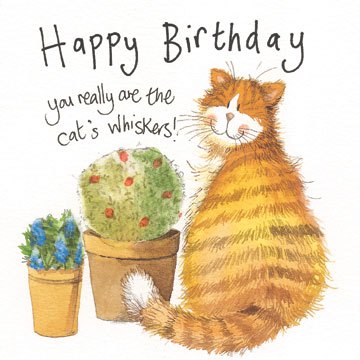 Alex Clark Whiskers Birthday Card