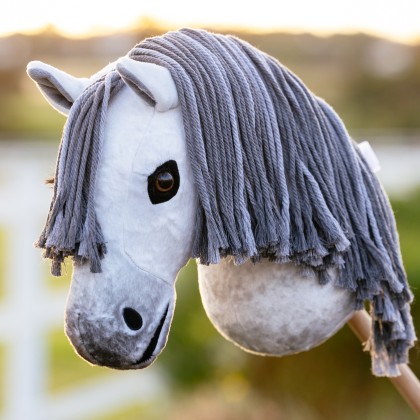 LeMieux Hobby Horse Earl