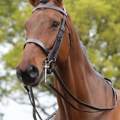 Kincade Show Weymouth Bridle