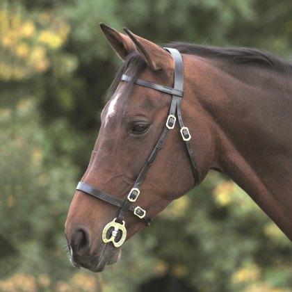 Gara Plain Inhand Bridle