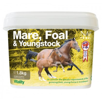 NAF Mare  Foal and Youngstock