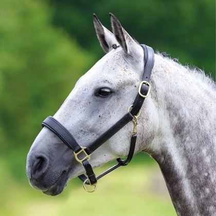 Velociti Gara Leather Travel Headcollar