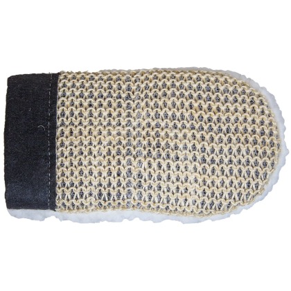 Townfields Cactus Grooming Mitt