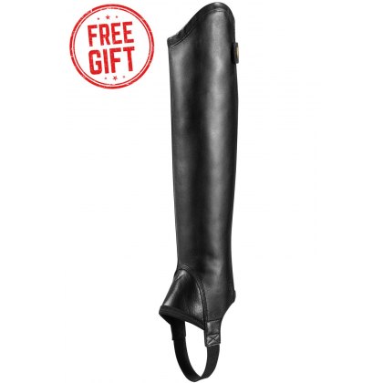 Ariat Concord Half Chaps 