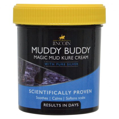 Lincoln Muddy Buddy Magic Cure